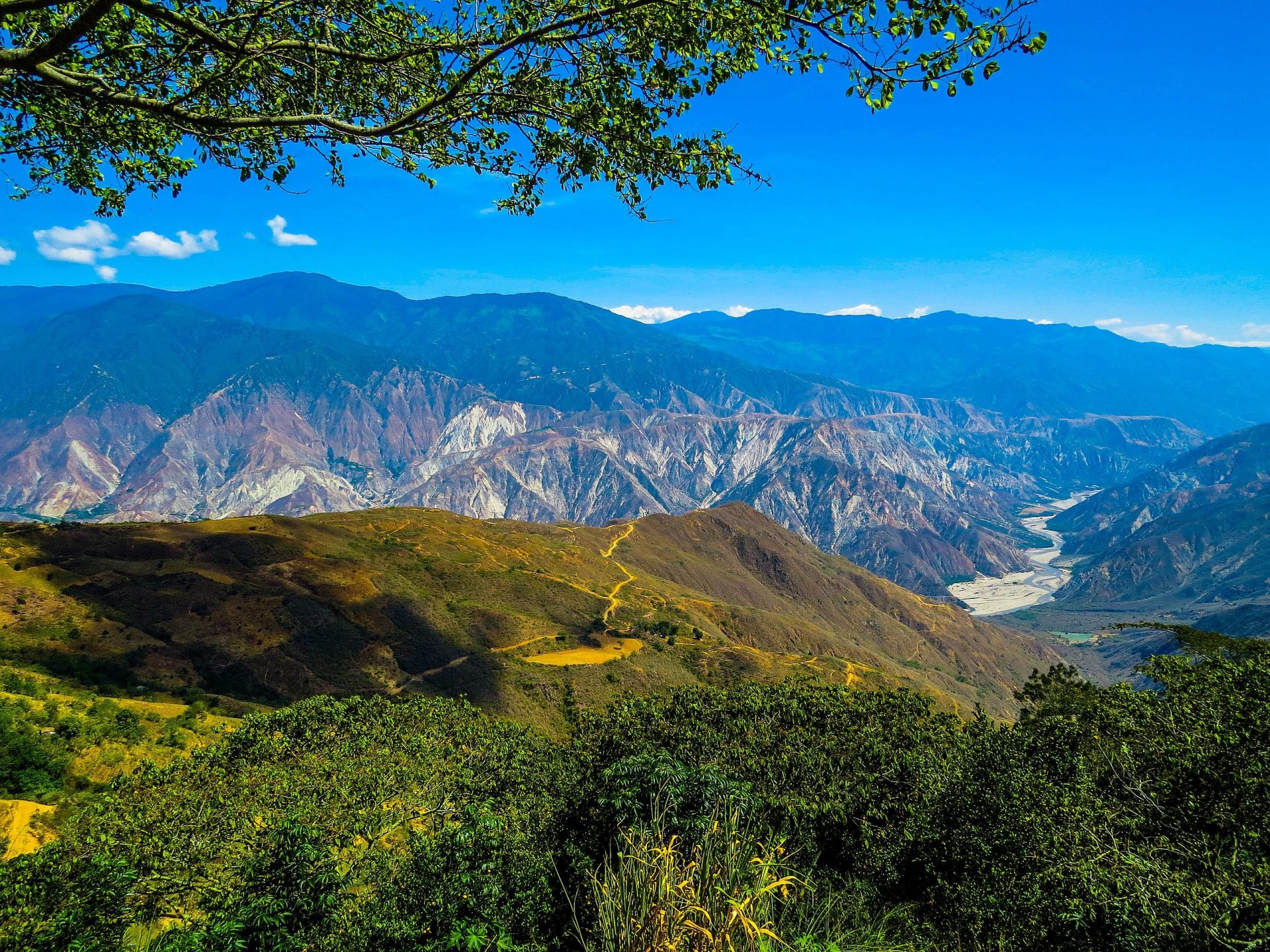 Santander, un Edén de biodiversidad: Sus santuarios naturales y la lucha por su conservación